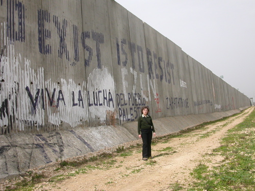 Israel's Wall